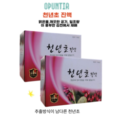 네이쳐천년초