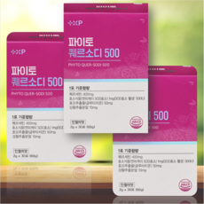 환절기 하루 한포 고함량 퀘르세틴 강황추출물 통풍 잘 되는 곳에 보관 약 1개월분, 1세트, 30회분
