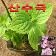 200c19fe7aec91ded346efe2cdf4de4c782a2d369de409afb51f0f0f3158.png