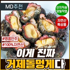 거제돌멍게