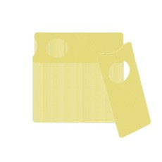 콩제슬래드성장기록카드