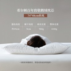 구스크라운베개