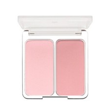 투에이엔듀얼치크