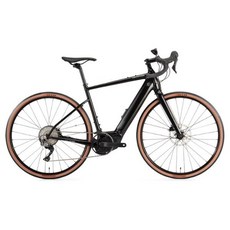 캐논데일탑스톤