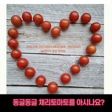 캔디토마토