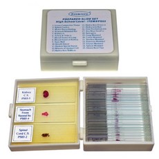 현미경프레파라트