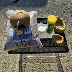  소라게키우기 왕대채집통 사육셋트, 1개 