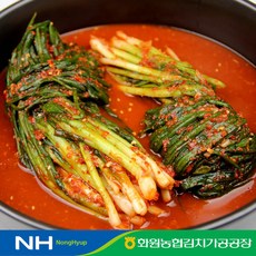 전라도 해남 땅끝마을 농협 파김치 1kg 100% 국산 농산물, 1개