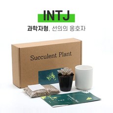 엠비티아이검사