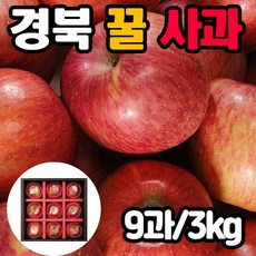 [백화점 납품용] 고당도 엄선 프리미엄 나주 배 경북 사과 혼합 설 선물 세트 설날 명절 구정 추석 과일 선물셋트, 경북 사과 9과 3kg 내외, 1박스