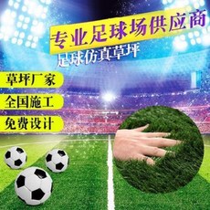 인조잔디 카펫 러그 옥상 야외 발코니 축구장 주문맞춤제작 가격협의 전문 풋살장, 노국표