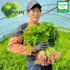 추천7청도한재미나리