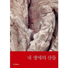 [개똥이네][중고-최상] 내 생애의 산들