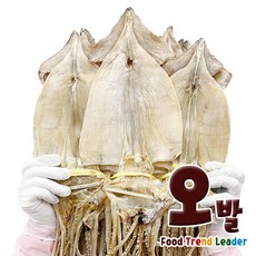 [오발] 국내산 마른오징어 2Kg 1축 20마리, 1개