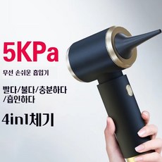 PYHO 스톰클린 만능 차량용 청소기 + 에어건 2in1 캠핑용 초강력 에어건 청소기 미니 핸디 필터, 블랙