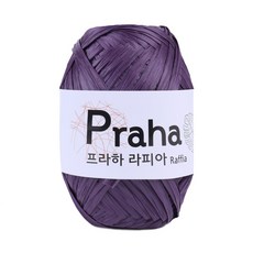 프라하라피아실