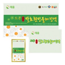채움웰 토종 발효 흰민들레진액 흰민들레즙, 80ml, 60개 80ml, 60개