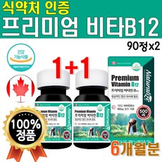 플래티넘b6