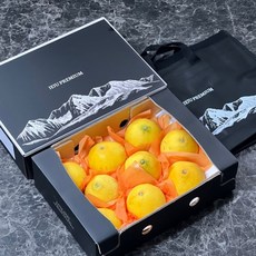 제주 황금향 선물용 5kg/3kg 고급 감귤 추석 명절 과일 선물세트, [선물용] 제주 황금향 5kg (중과)