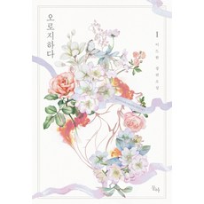 소설이드