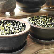 이국주콩나물시루