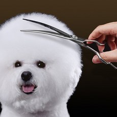 바비온커브가위