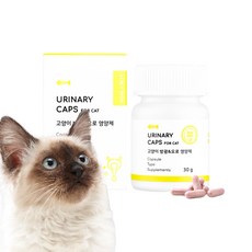 [본아페티] 유리나리캡스포캣 고양이영양제 캡슐 60정, 1개, 유리너리 (비뇨계), 방광 요로 영양제