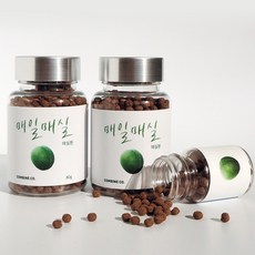 매천황현