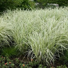 유기엔틱제사삼족향로원통불구향로가정용실내공급불순동합금삼각련레이스단향로제공재신급관