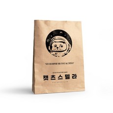 바스락 고양이 종이 숨숨집, 캣츠스텔라, 1개