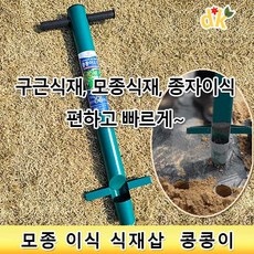 식재삽콩콩이