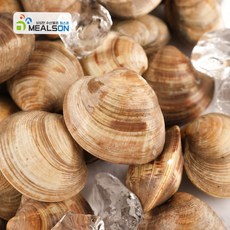 밀스온 제철 해감 백생합 생합 백합 조개 백상합, 백상합 소, 2개, 1kg
