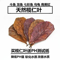 50f683cf271e59fb2cfab5badfcdb683eb5849bd592860dff6d77d0ce466.jpg