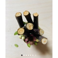 햄스터 사과나무가지, 1개