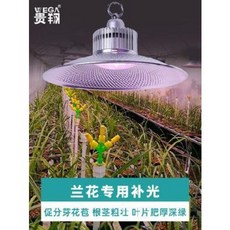 식물생장등 이케아 등식물생장등 전 LED 실내화 육묘 다육채소 온실 하우스, 01 풀 스펙트럼 36W(가정 원예 적합)