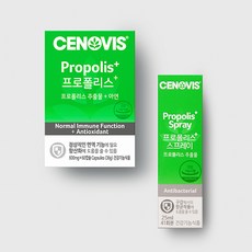 세노비스면세점