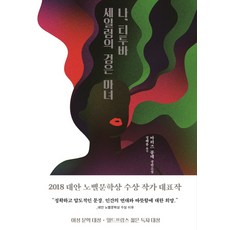 나 티투바 세일럼의 검은 마녀:마리즈 콩데 장편소설, 은행나무