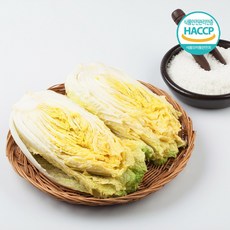 [무료배송]전남도지사가 인정한 산지 직송 HACCP인증 해남 절임배추 20kg, 1박스, 12월13일 도착일