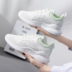 알파2581