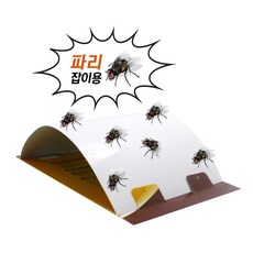 노런 플라이다운 파리트랩 10매입 파리잡이 끈끈이, 혼합 색상, 1박스
