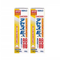 Sato Acess EX Gingvitis Periodontitis 사토 아세스 치약 연마제프리 100g 2팩