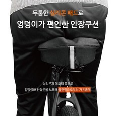 라르고안장
