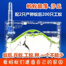 217fa8370c841c72a5ea4093a494897e7e0359760c4082f47abc39f51de6.jpg