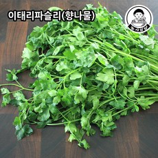 향나물