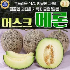 메론참외