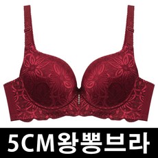 5CM왕뽕브라 임펙트 뽕브라 볼륨업브라 여성속옷 왕뽕속옷