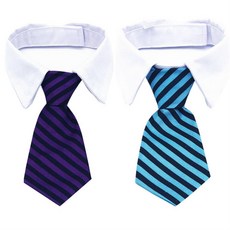 촬영소품나비넥타이