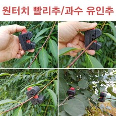 한누리팜마트 원터치빨리추 70g(300개) 사과나무유인추 가지유인추 과수유인추, 1개