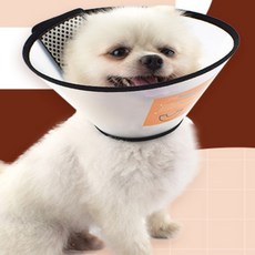 HILEON 강아지 고양이 애견넥카라 고양이넥카라, 7호, 1개