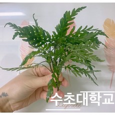 6fe12c4ffae6d34272bce84ab6b1888a02cc67cdb41879a363cf40cc9bc8.jpg